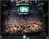 2008 Boston Celtics Team signed 16x20 by 11 (Upper Deck Authenticated)