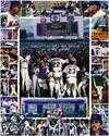 Tribute to Shea Stadium Art Lithograph (Amazin' Memories 1964-2008) 18"x24" (New York Mets) Limited Edition